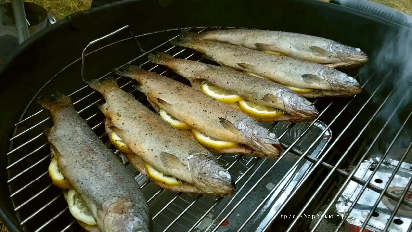 Рецепты горячего копчения рыбы