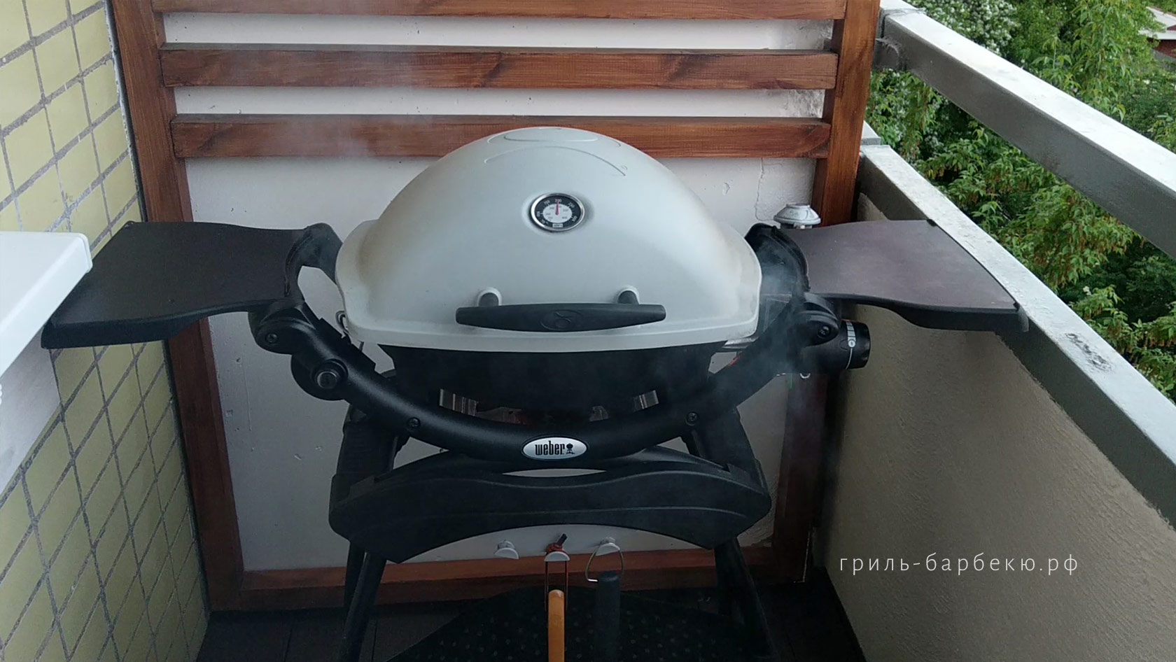 Газовый гриль Weber Q1200
